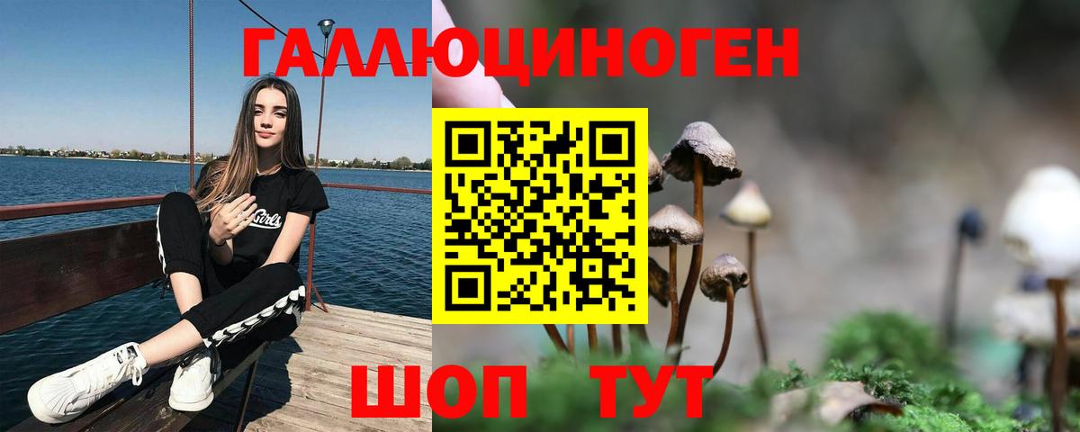 Галлюциногенные грибы Magic Shrooms  купить наркоту  Свободный  Вход с VPN  Псилоцибиновые грибы мухоморы 